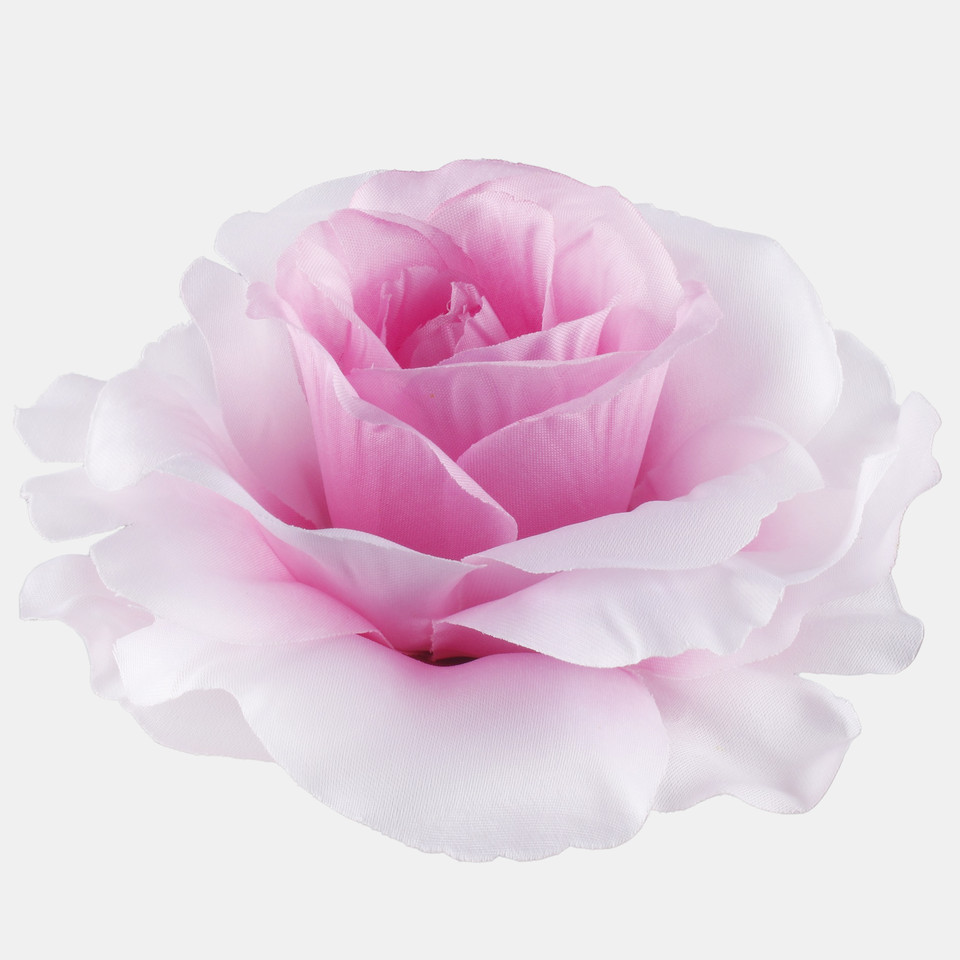 Rose, Lt. Pink W729-12