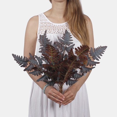 Fern Z180K (Product size)