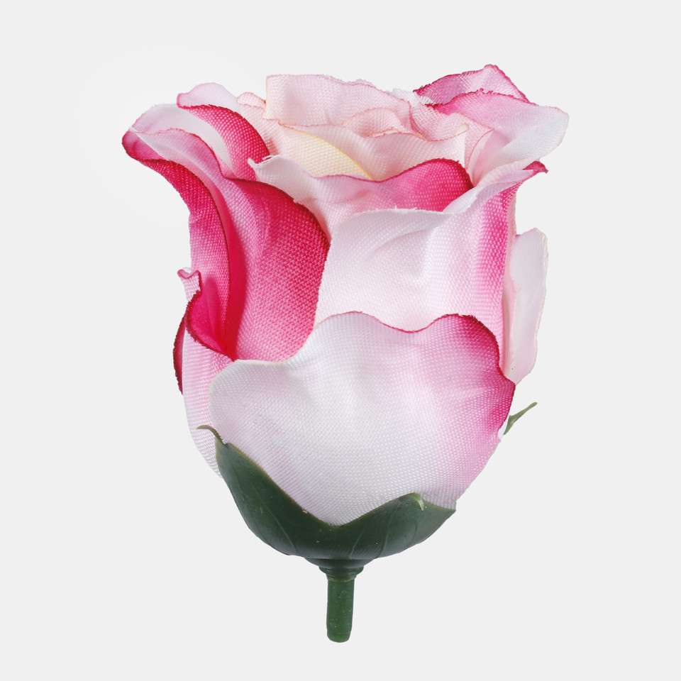 Róża w pąku, Cream/Pink W681-09