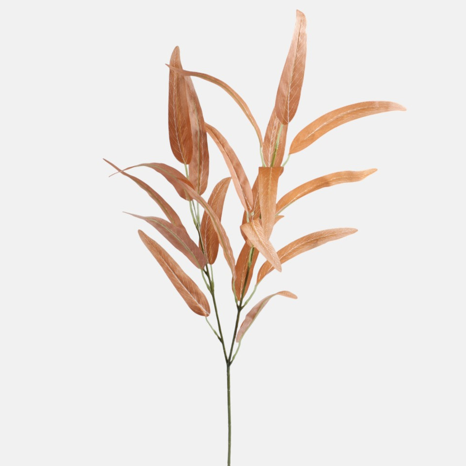 Wierzba, Orange F250-03