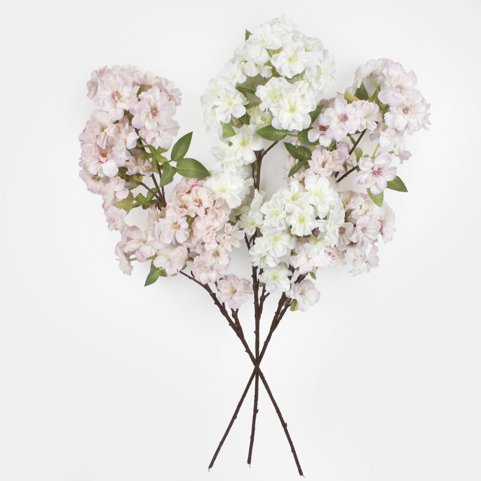 Azalia, Peach L899-01