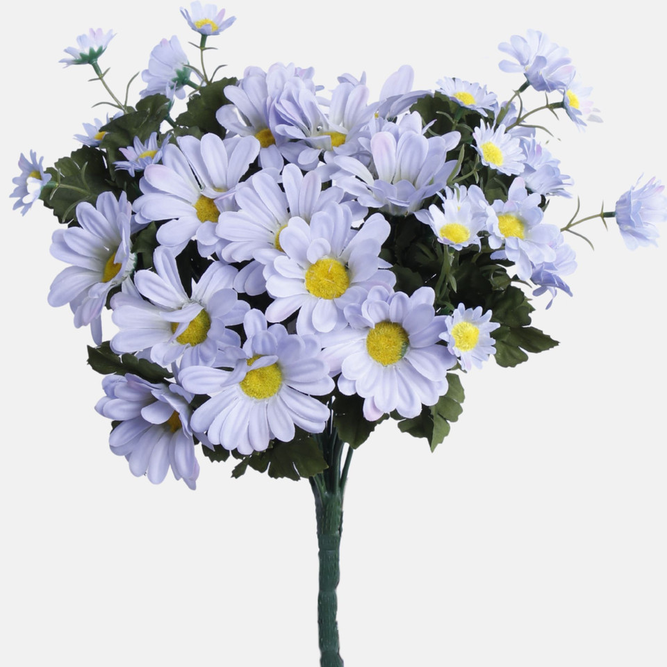 Margaretka, Mix BU405-01