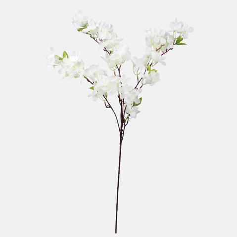 Cherry-tree, Cream L237-02