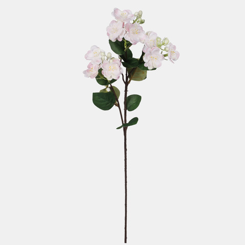 Jasmine, Pink G479-03