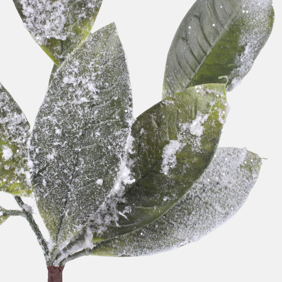Frosted bay leaf, Frosted Green A857S-01
