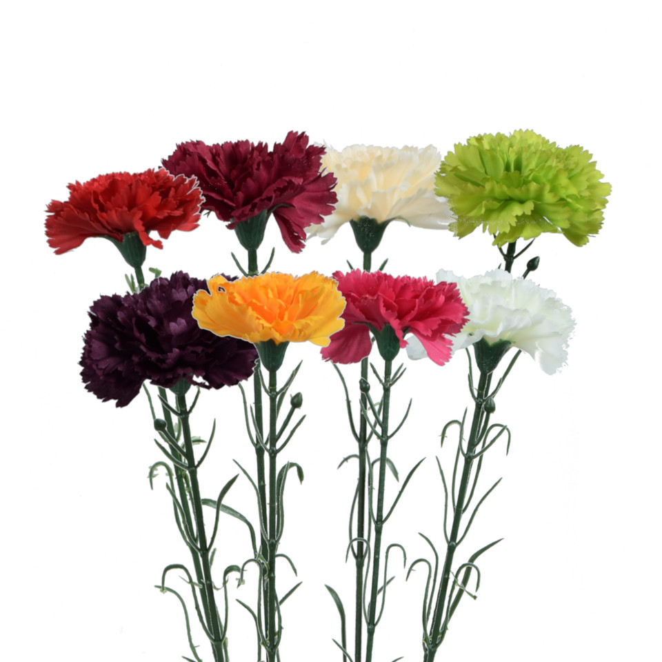 Goździk - gałązka 54 cm, m2 GK148-m2
