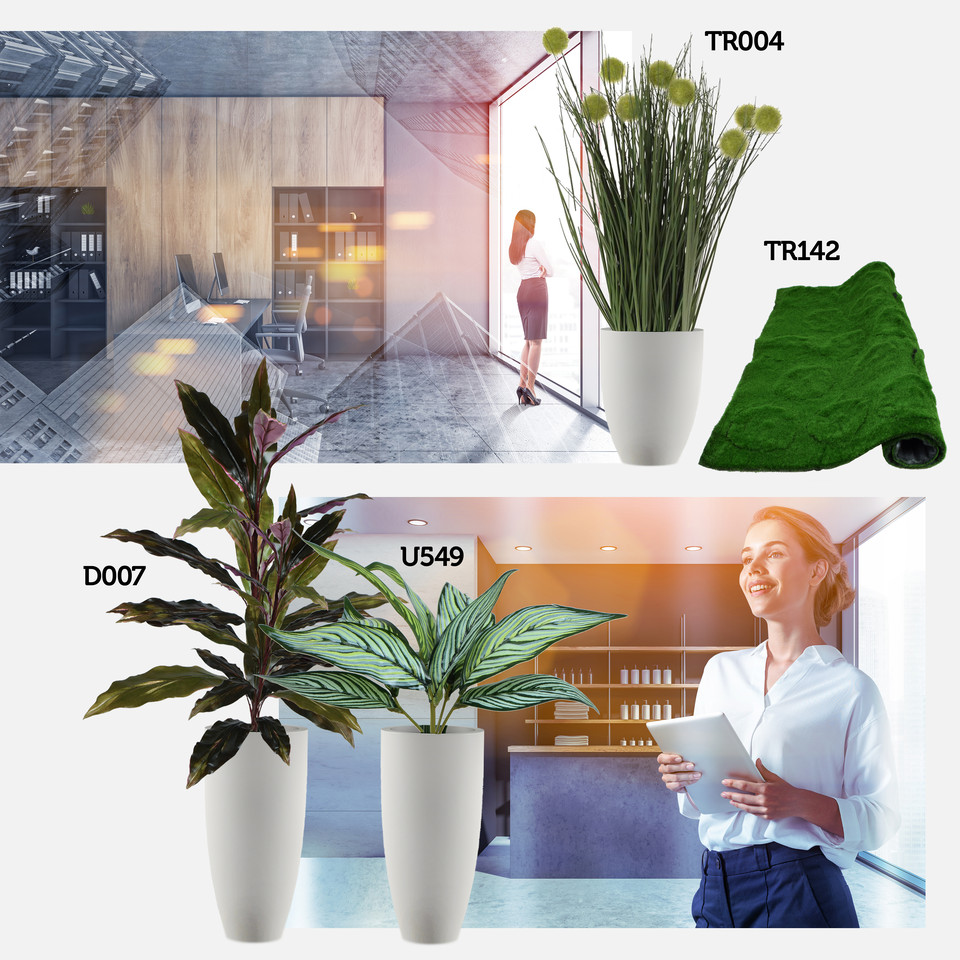 Dracena roślina - 110 cm, tt.green D007-00