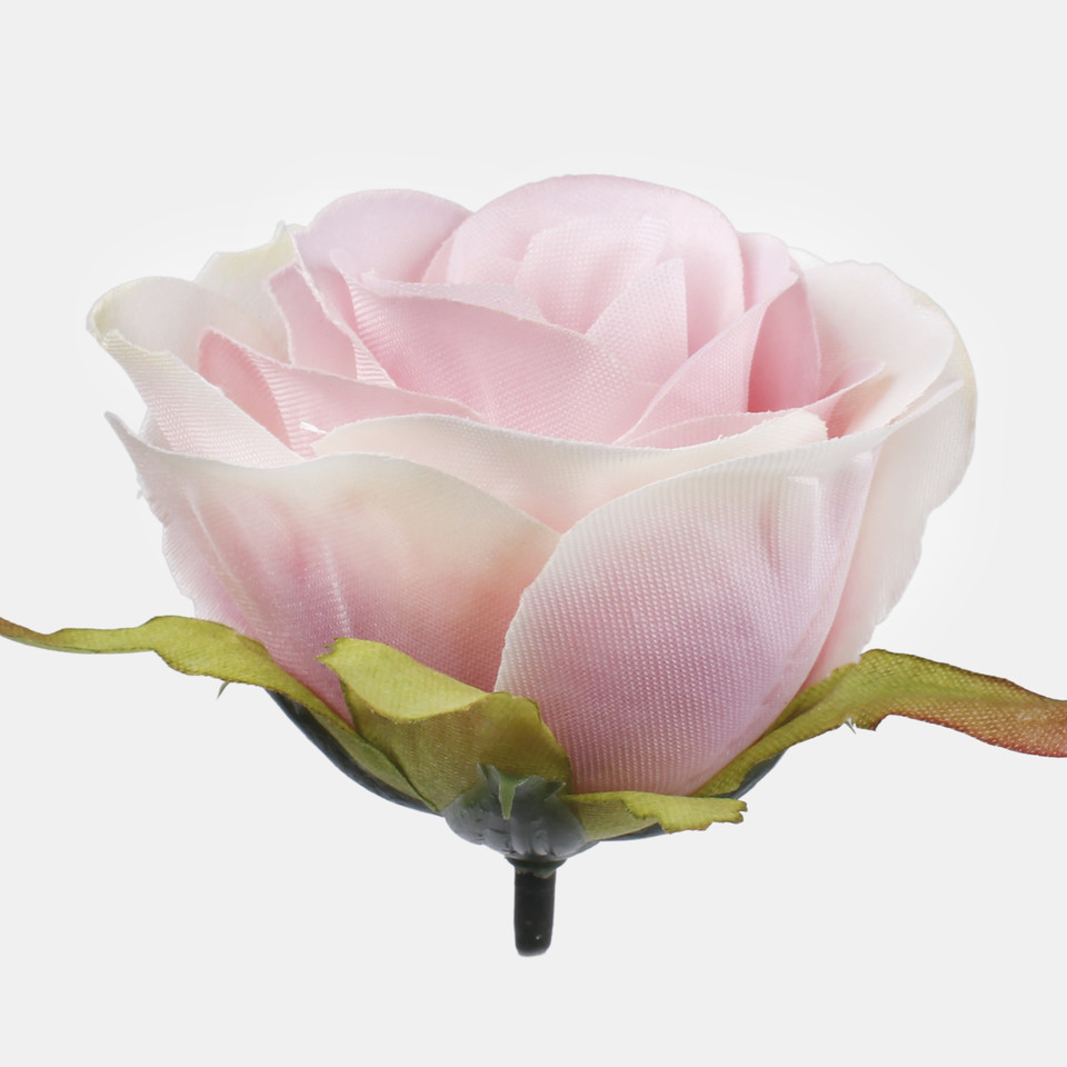 Róża w pąku, Pink/Cream W726-05