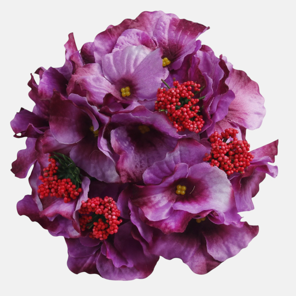 Hydrangea, T.T. Violet W696-36
