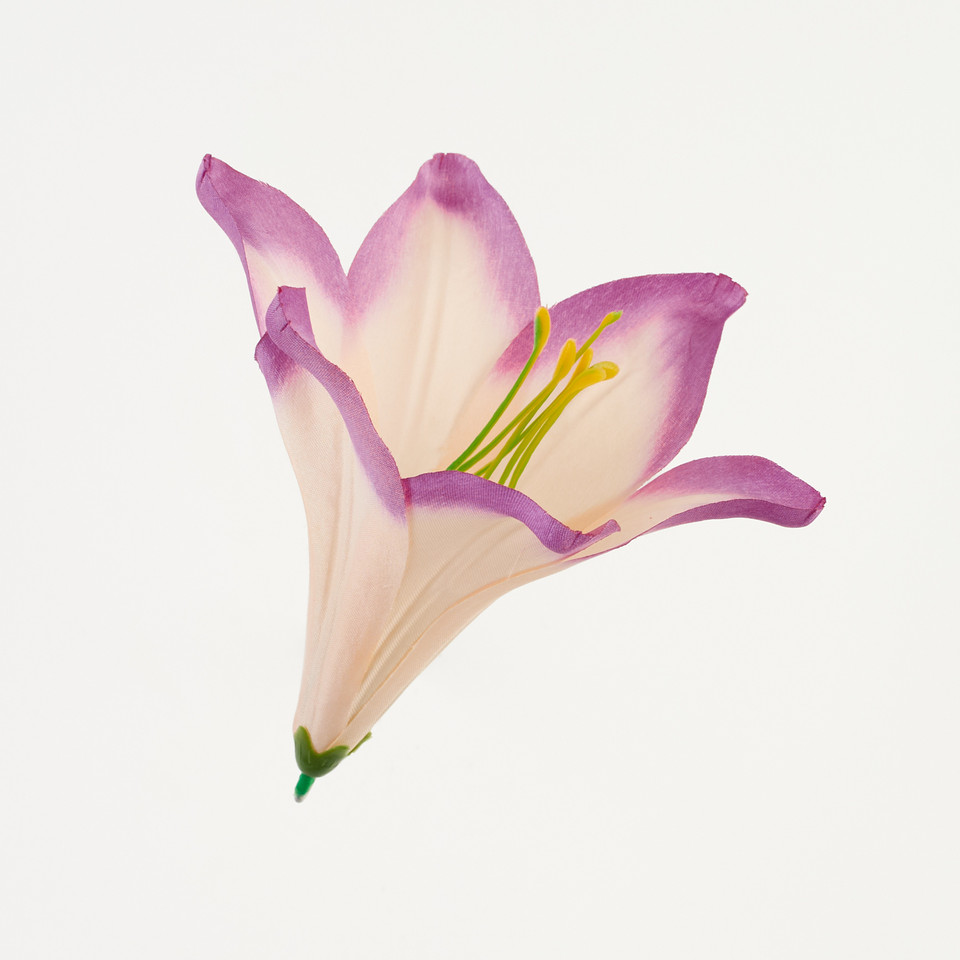 Lilia – główka satyna, salmon purple B276-041