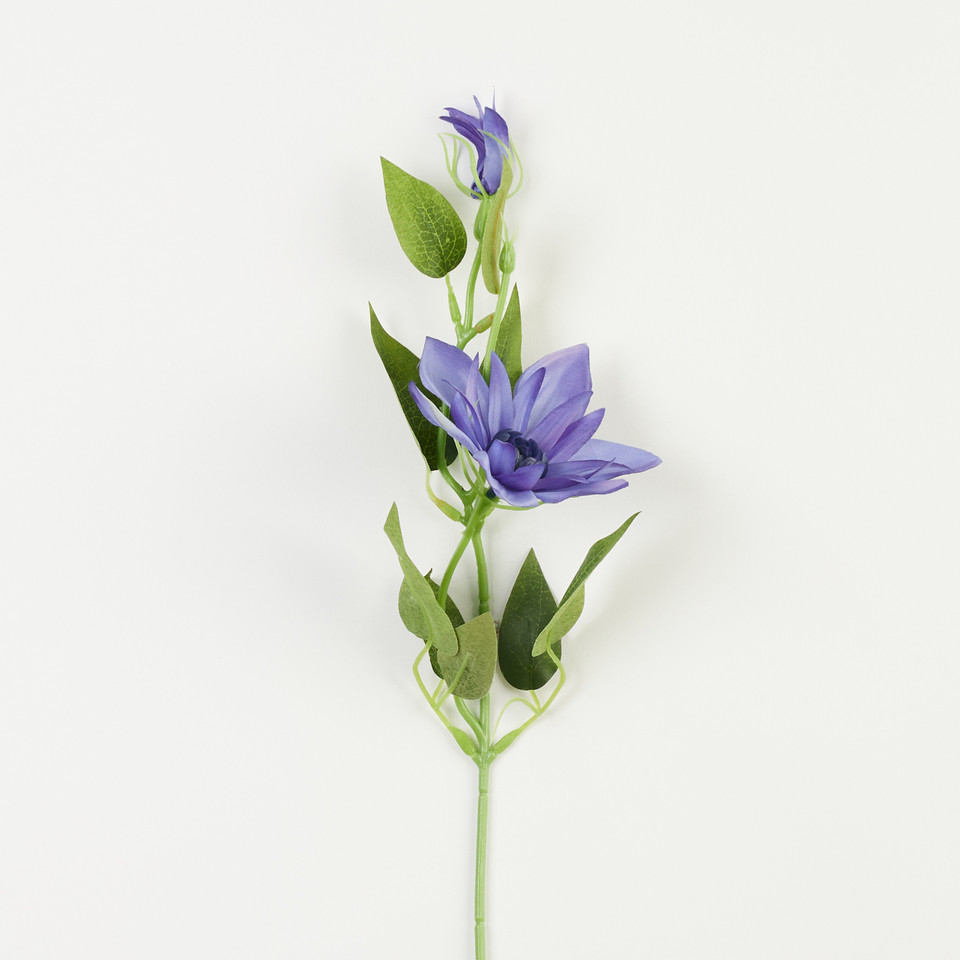 Powojnik – gałązka, A dk.violet B15-11A