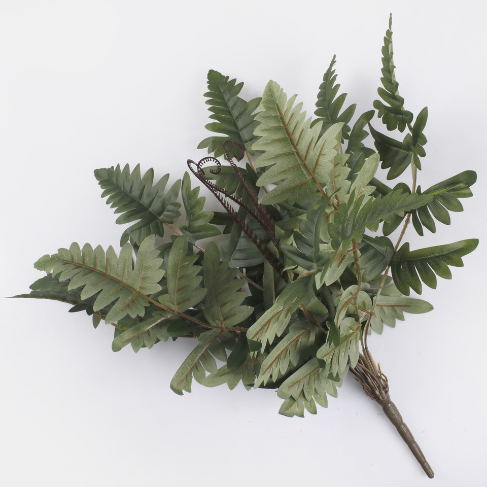 Fern bush, Mix 1 Z180-01