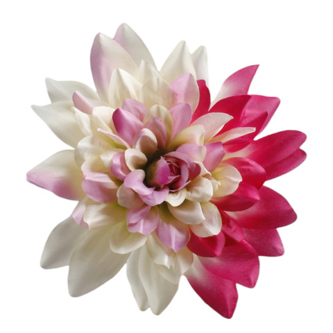 Dahlia, Cream/Pink W170-45