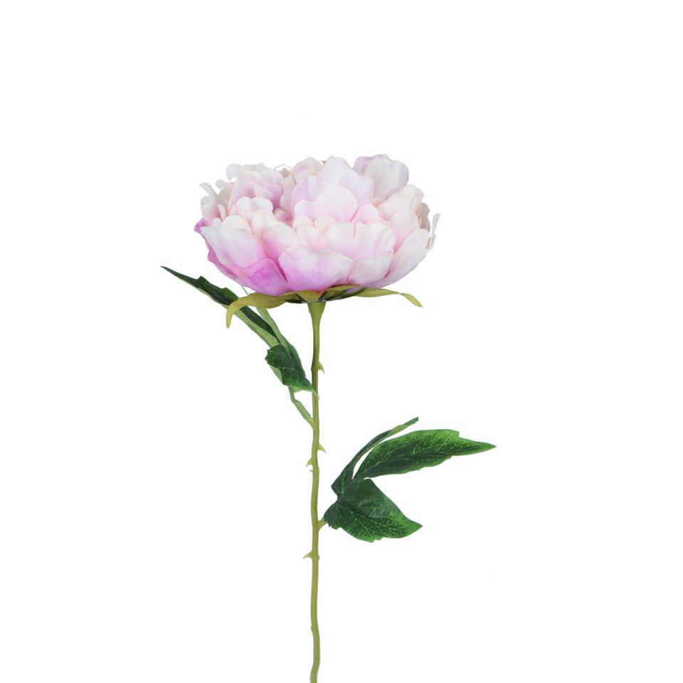 Peonia - gałązka 57 cm, m K417-m