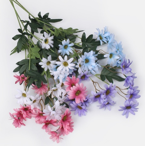 Pyrethrum, Lilac L865-05