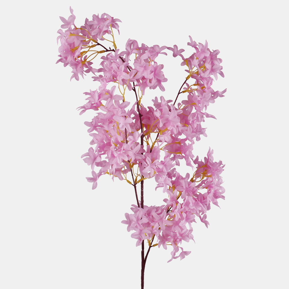 Bez, T.T.Pink L262-04