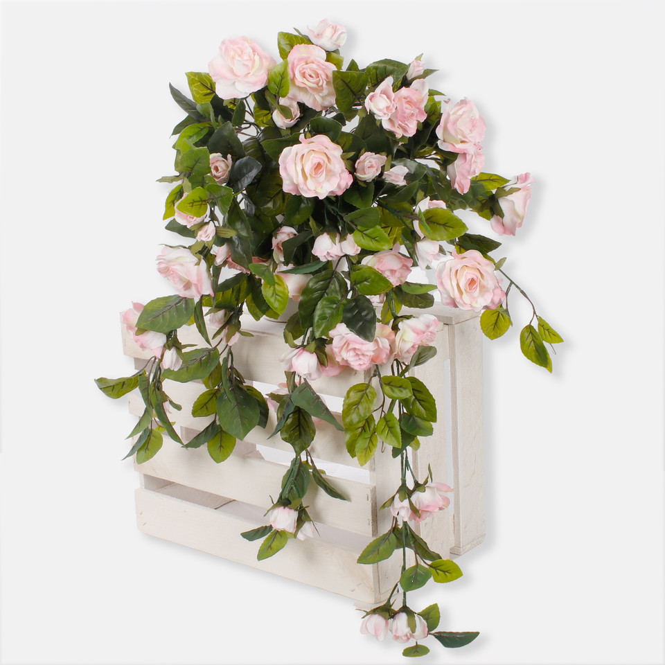 Rose, Lt. Pink K016-10