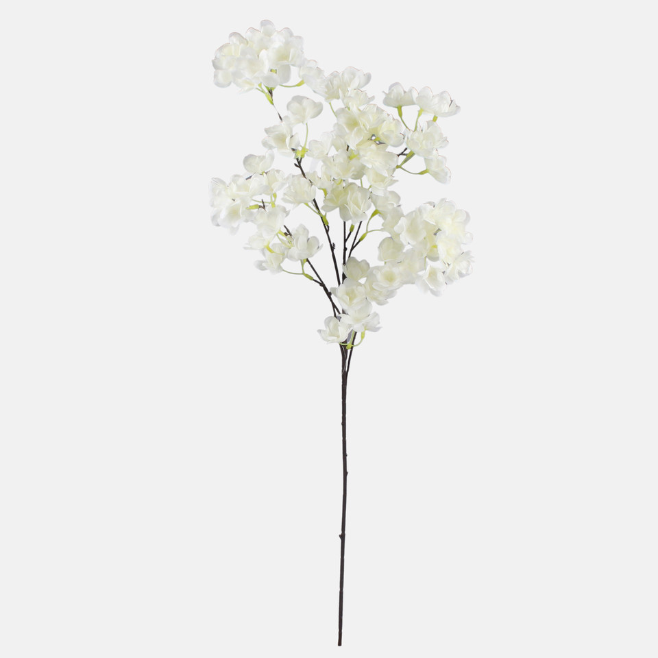 Apple tree x 5, Cream L261K-01