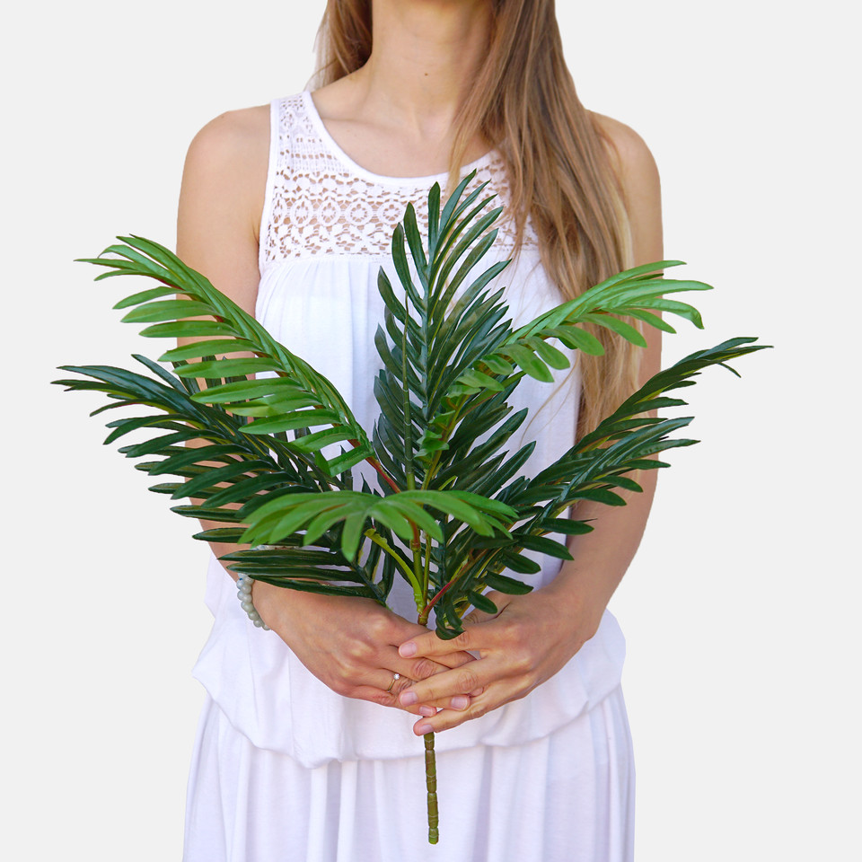 Palm Z095