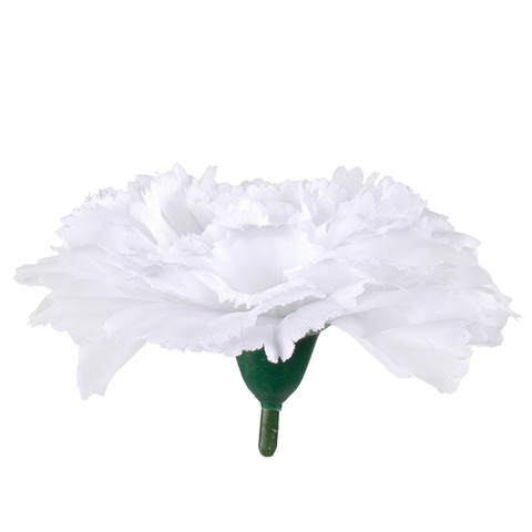 Carnation, Pure White W680-02