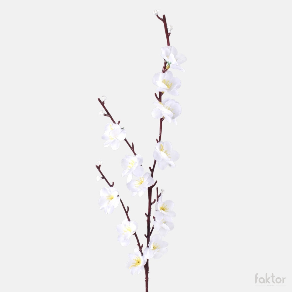 Cherry Blossom, White G209-03