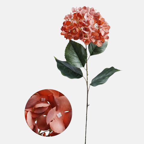 Hydrangea, Autumn Mauve L911-06