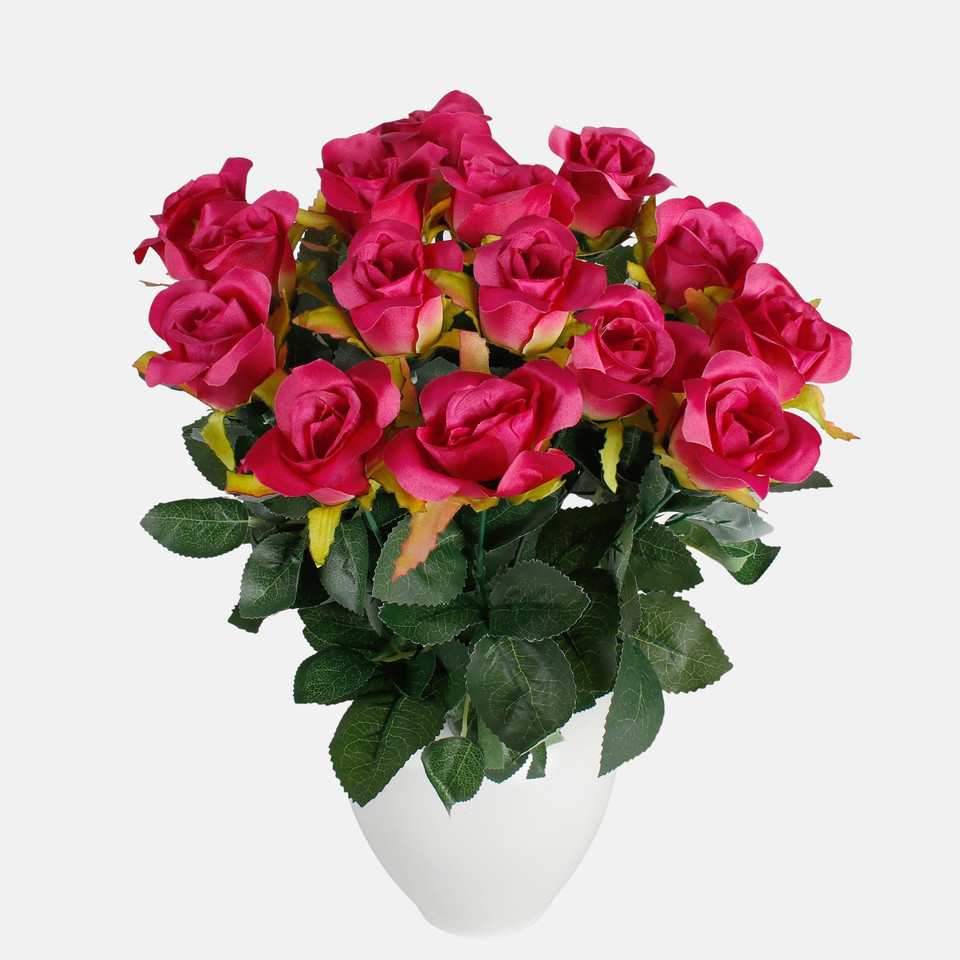 Rose x 14, Beauty QA245-05