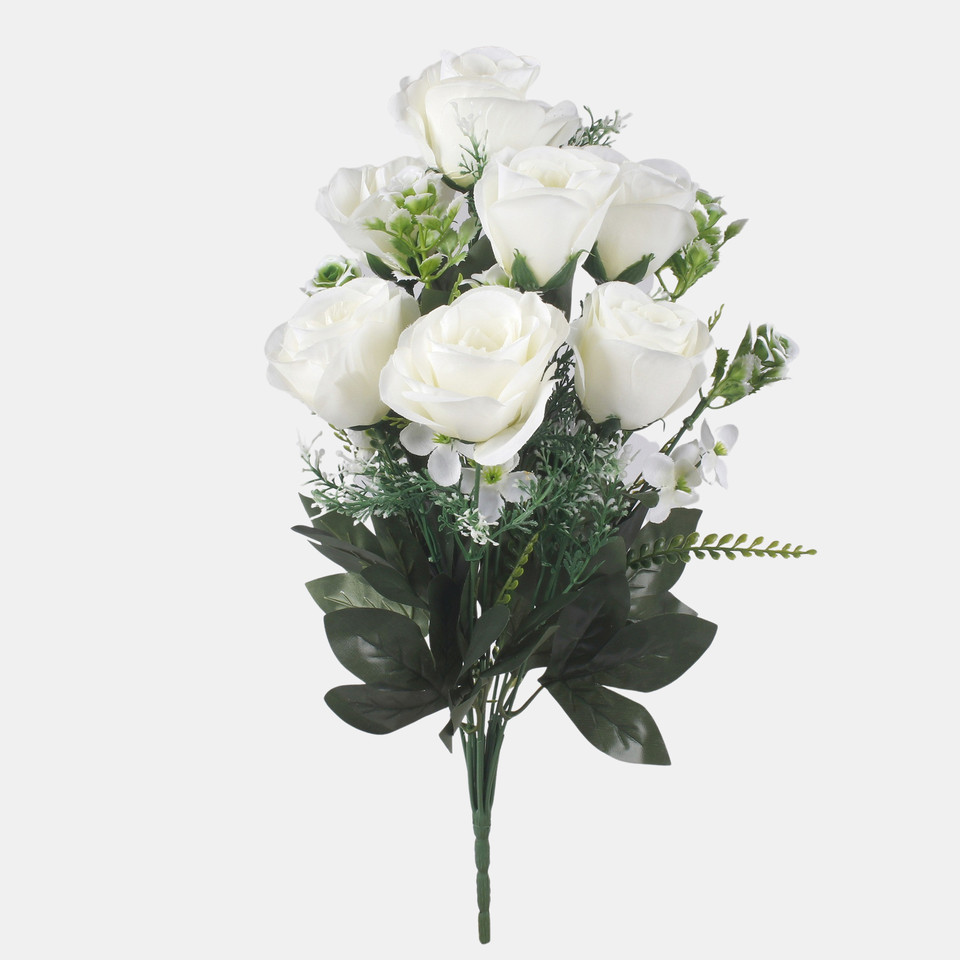 Rose x7, Mix 1 QA284-01