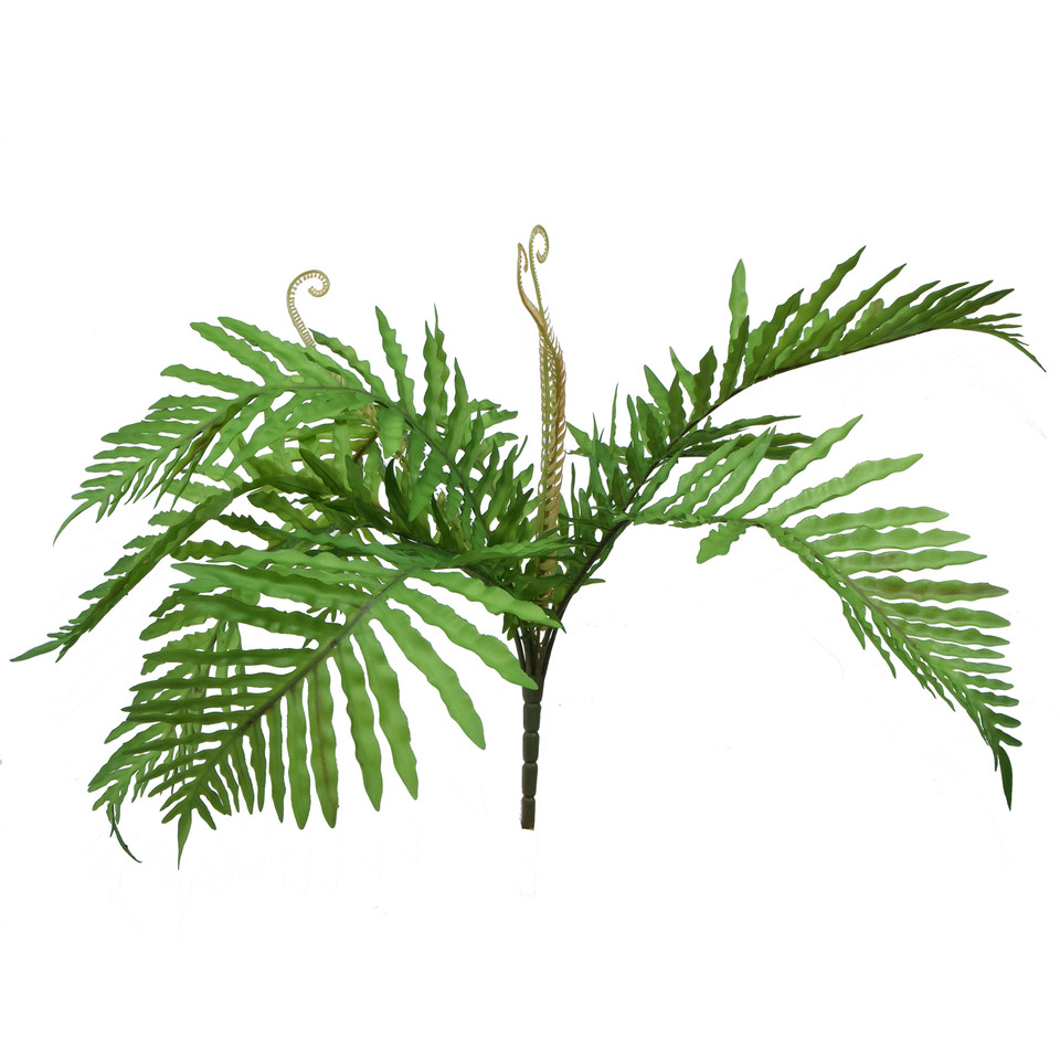Palma - bukiet 50 cm R676-00