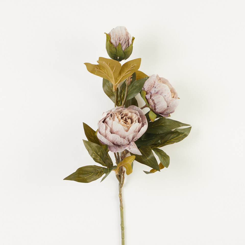 Peonia – gałązka x3, 07 B38-07