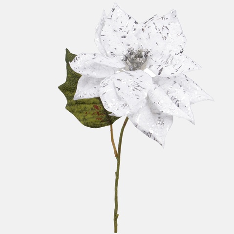 Shiny poinsettia, White G398S-01