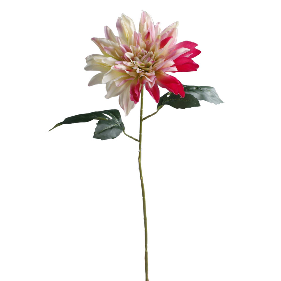 Dalia, Pink K657-06