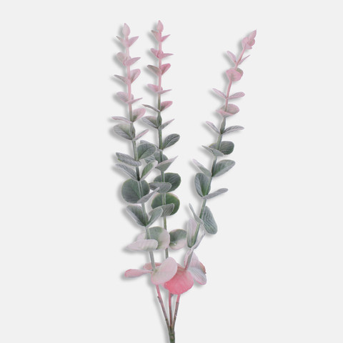 Eucalyptus, Pink/Green A666K-02