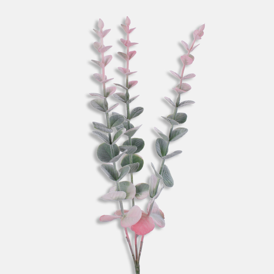Eukaliptus, Pink/Green A666K-02