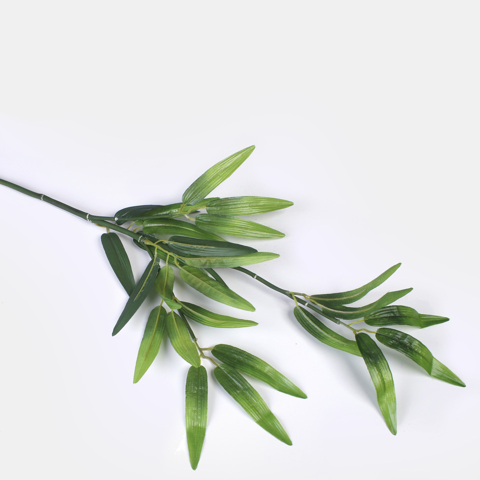 Bamboo, Green A661