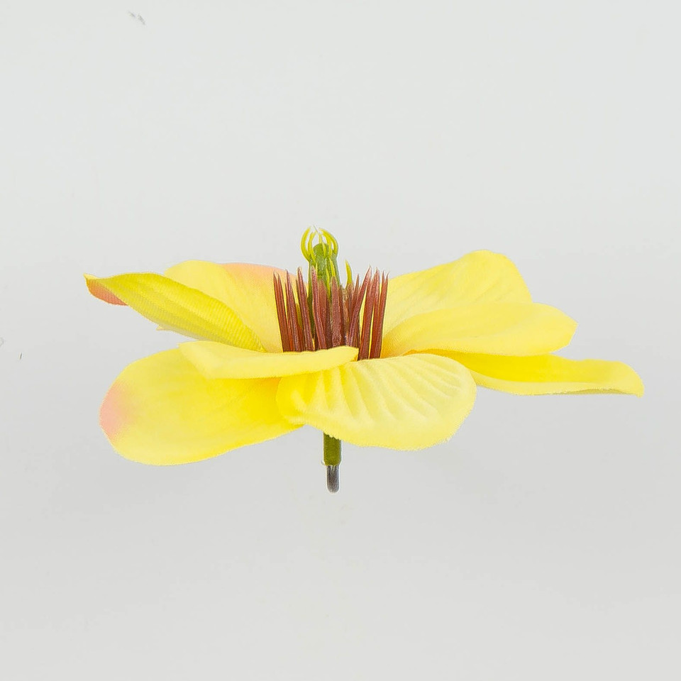 Magnolia – główka (24 szt.), lt.yellow/pink W10-04