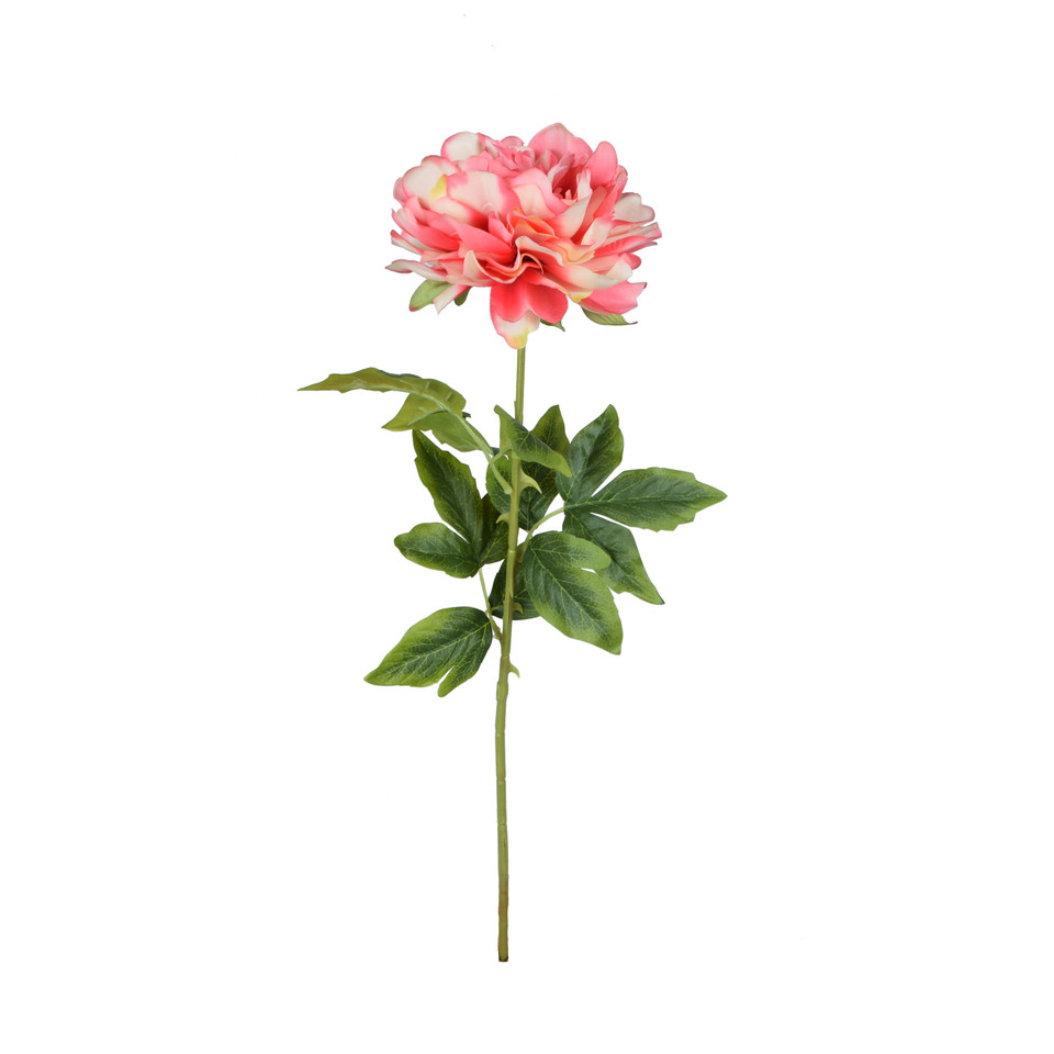 Peonia - gałązka 68 cm, m K415-m