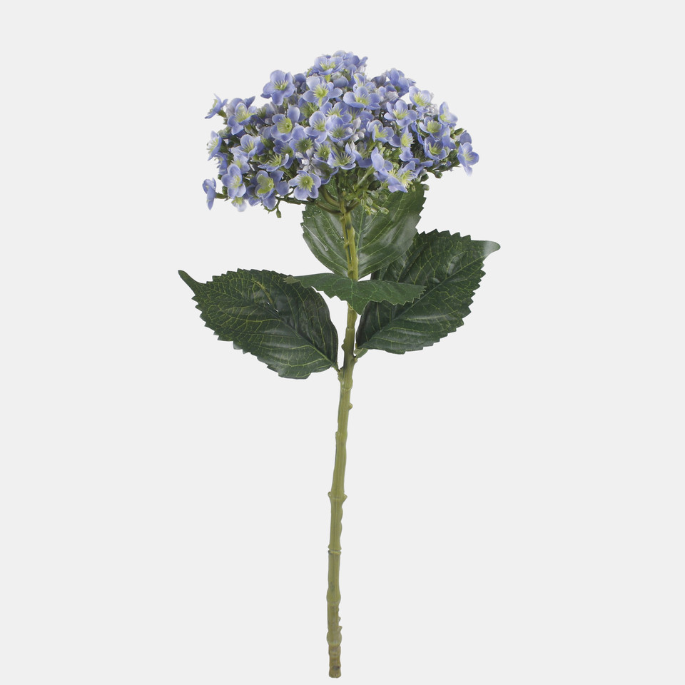 Hydrangea, Lt. Blue L857-01