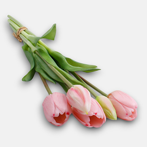 Rubberized tulip x 5 Q048