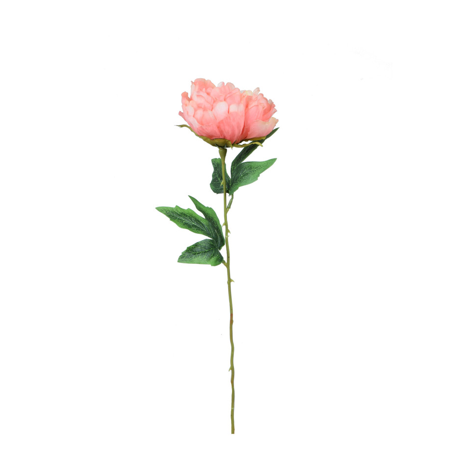 Peonia - gałązka 57 cm, m K417-m
