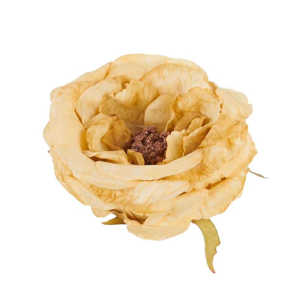 Peonia - główka, 04 tea B126-04