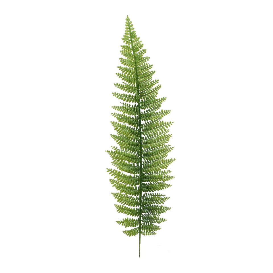 Paproć - liść 55 cm, green L803-00