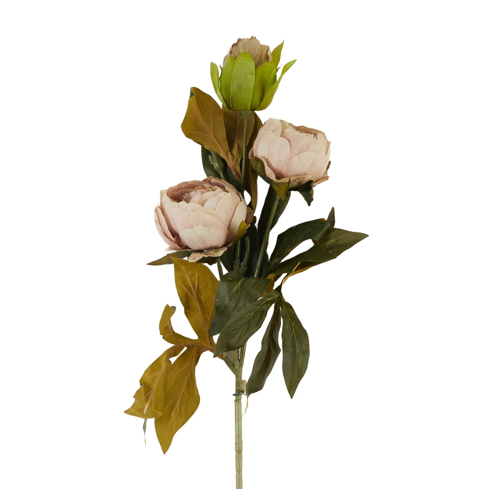 Peonia – gałązka x3, 8 B38-08A