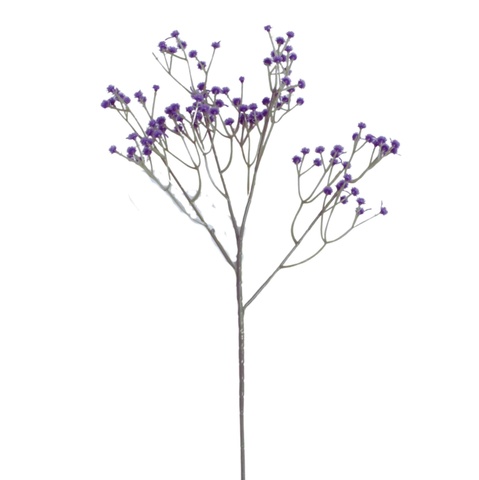 Gipsówka - gałązka 60 cm, m R671-m