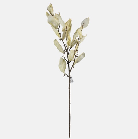 Autumn branch magnolia, Mix 1 F156Y-01