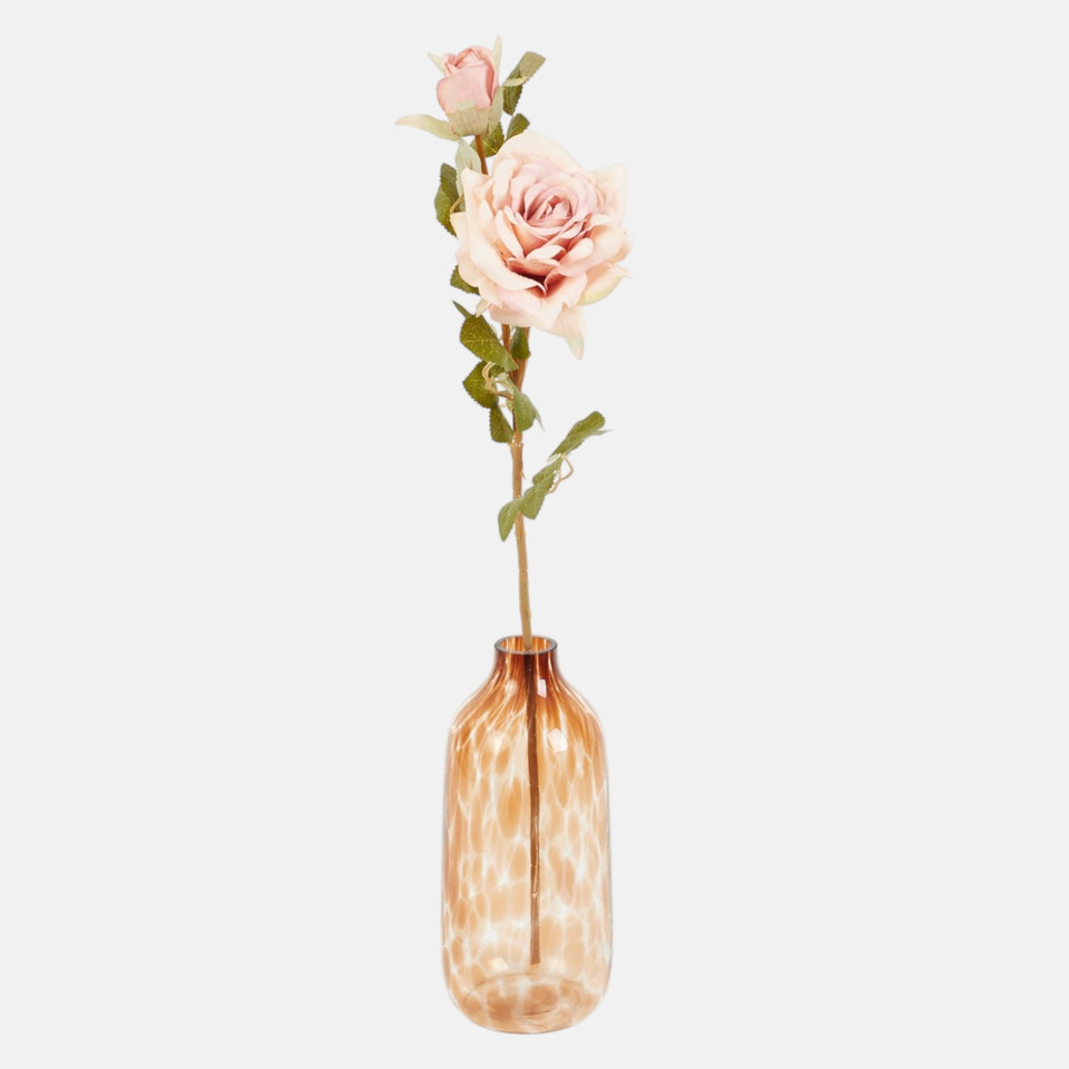 Rose, Autumn Pink AL02-03