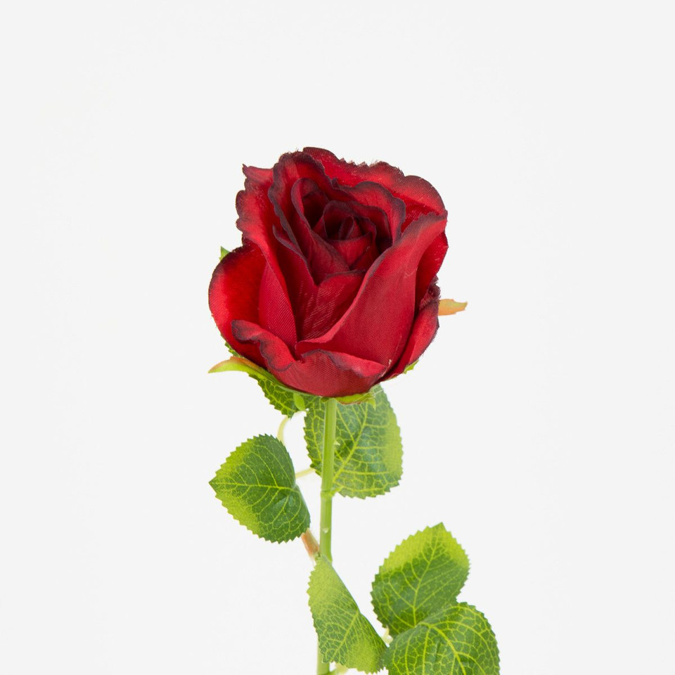 Róża – gałązka, red w/black B08-177