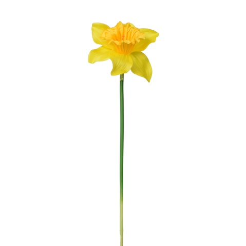 Żonkil - gałązka 39 cm, m K550E-m