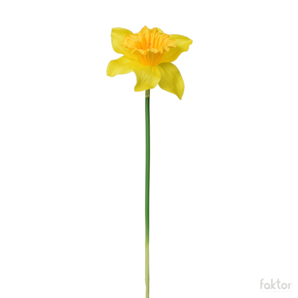 Żonkil - gałązka 39 cm, m K550E-m