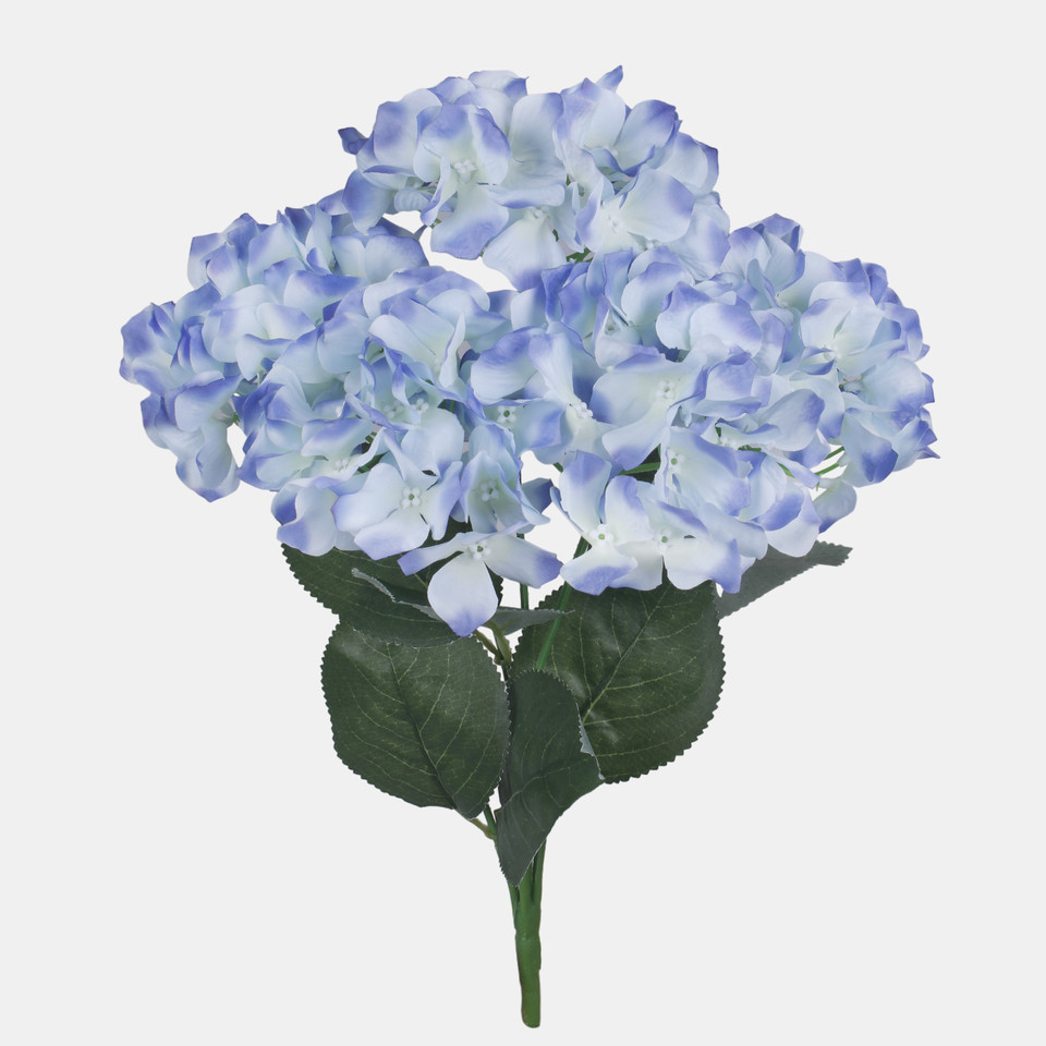 Hortensja x 5, Blue QA129-04